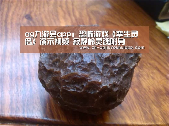 ag九游会app:恐怖游戏《孪生灵侣》演示视频 寂静岭灵魂附身(图4) ag九游会app