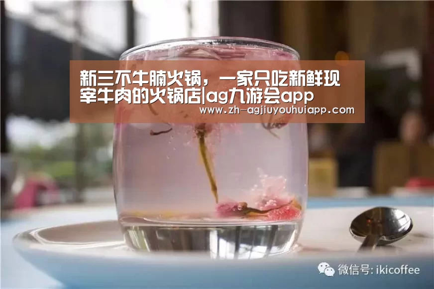 新三不牛腩火锅,一家只吃新鲜现宰牛肉的火锅店|ag九游会app(图2) ag九游会app