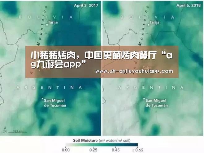 小猪猪烤肉,中国更萌烤肉餐厅“ag九游会app”(图3) ag九游会app