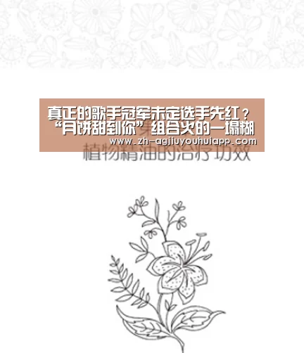 真正的歌手冠军未定选手先红?“月饼甜到你”组合火的一塌糊涂!“ag九游会app”