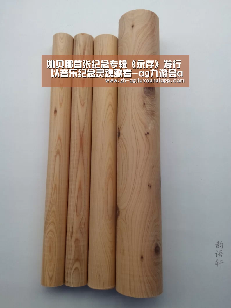 姚贝娜首张纪念专辑《永存》发行 以音乐纪念灵魂歌者-ag九游会app(图1) ag九游会app
