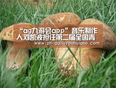 “ag九游会app”音乐制作人刘凯波担任第二届全国青年运动会闭幕式音乐总监(图4) ag九游会app