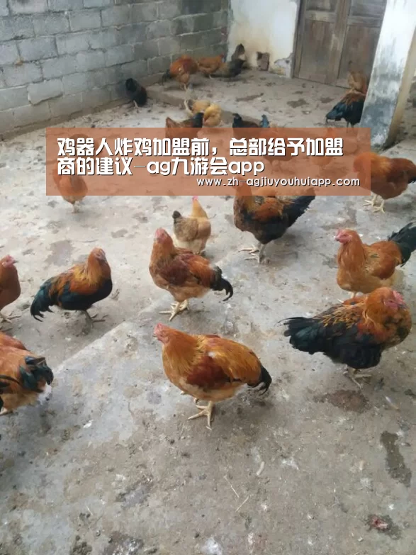 鸡器人炸鸡加盟前,总部给予加盟商的建议-ag九游会app(图1) ag九游会app